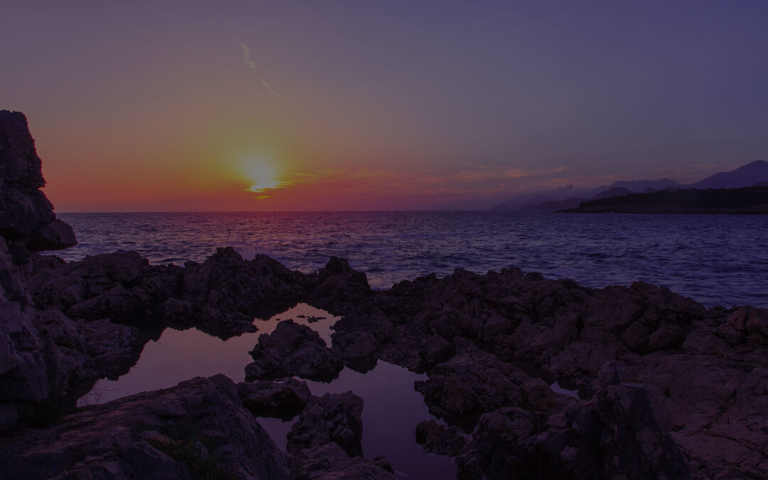 Rachel Carson: A pioneering protector of the natural world